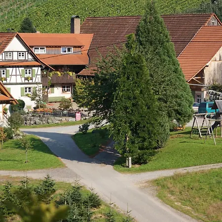 Weingut Alfred Huber Apartman *