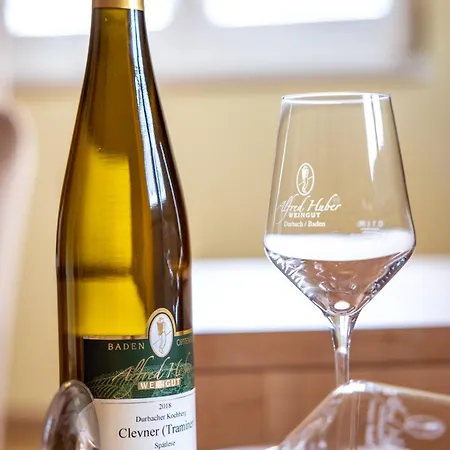 公寓 Weingut Alfred Huber 杜尔巴赫